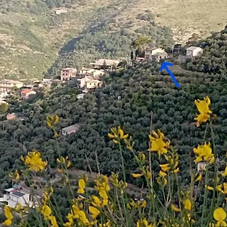 In Scia Costa